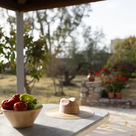 Ethos Retreat, Luxury