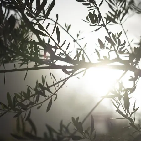 Apartament Ethos Retreat, Luxury