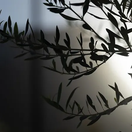 Ethos Retreat, Luxury Appartamento