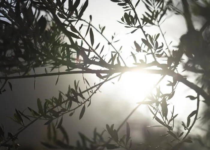 Apartman Ethos Retreat, Luxury