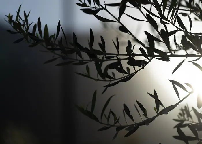 Ethos Retreat, Luxury Apartman